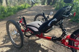 ICE Sprint X Pixel sportieve trike