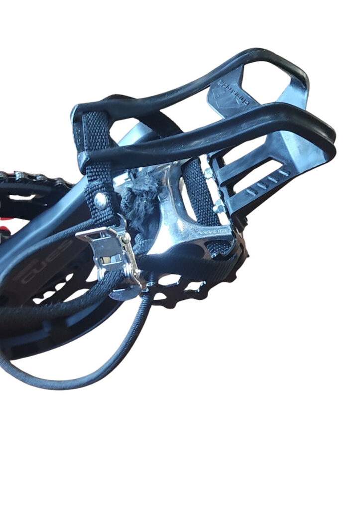 ICE trike Nederland