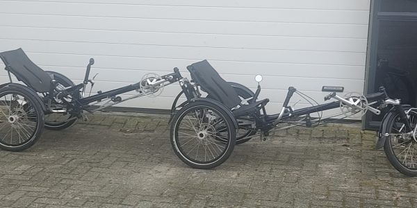 Twee Hase kettwiessels gekoppelt als tandem